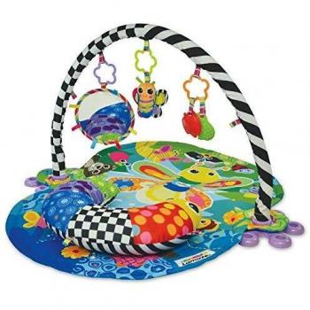 GIMNASIO DE ACTIVIDADES FREDDIE LAMAZE