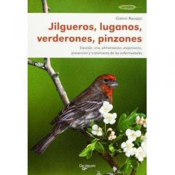 Jilgueros, luganos, verderones y pinzones