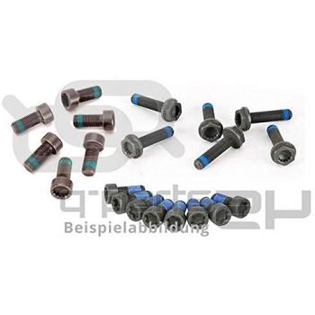 Luk 411 0174 10 Bloque de Motor