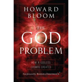 The God Problem: How a Godless Cosmos Creates