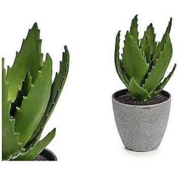Planta Decorativa Aloe Vera de Plástico 14 x 21 x 14 cm Gris Verde