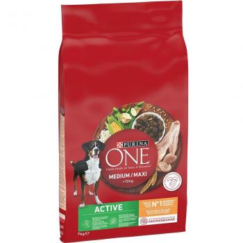 PURINA ONE Medium/Maxi Active Chicken - 14 kg (2 x 7 kg) Bulk Pack