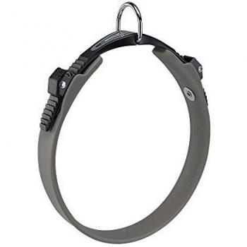 Collar para Perro Ergoflex 22 mm 42 cm