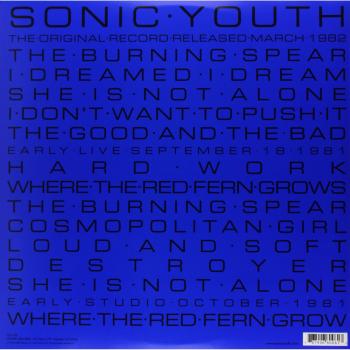 Sonic Youth Sonic Youth 2006 USA 2-LP vinyl set GOOFIN08