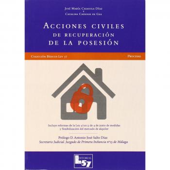 Acciones civiles de recuperación de la posesión. Formularios y esquemas procesal