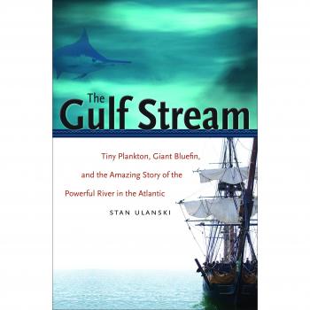 Gulf Stream Exploration: Tiny Plankton, Giant Bluefin - The Atlantic River's Journey