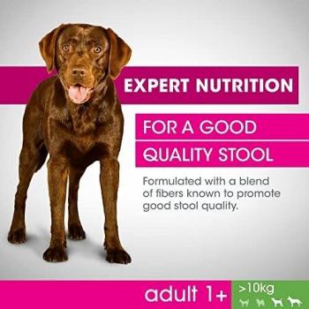 Perfect Fit Adult Dogs (>10kg) - Pack de 12 kg
