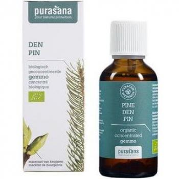 Purasana Pino Gemoterapia 50ml - Extracto líquido de pino, 100% natural, envase de vidrio ámbar, sin conservantes ni aditivos, indicado para el bienestar emocional y físico