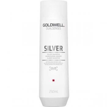 Goldwell Dualsenses Silver Shampoo 250ml - Anti-Yellowing Formula for Gray and Cool Blonde Hair
