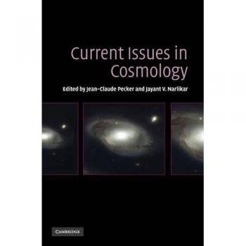 Contemporary Cosmology Challenges: Insights and Perspectives