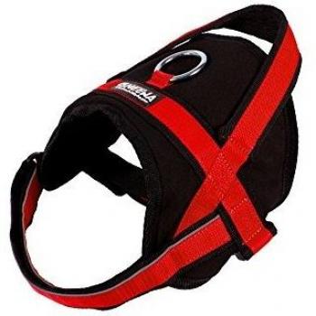 Neewa 8033087539653 - Utility arnés Rojo Large