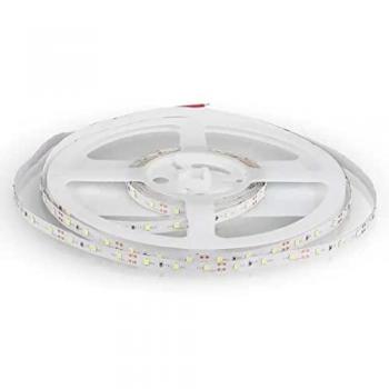 Tira LED SMD3528 12V 5m 4.2W/m 60LED/m 100lm/w Blanco Frío 6500K IP20 8mm