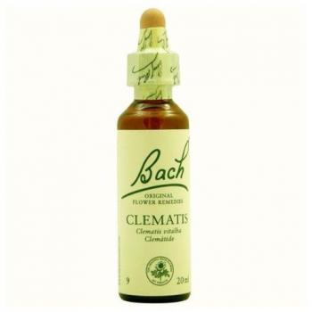 BACH FLORES DE BACH CLEMATIS 20ml - Frasco de cristal de 20 ml con gotero