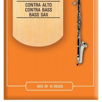 D'Addario Rico Orange 2 Bass Clarinet Reeds