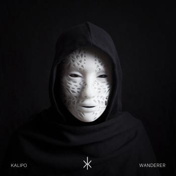 Wanderer Vinyl Record