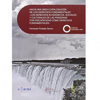Hacia una unica catalogación de los derechos fundamentales: Los derechos económicos, sociales y culturales de las personas con discapacidad como derechos fundamentales: 13