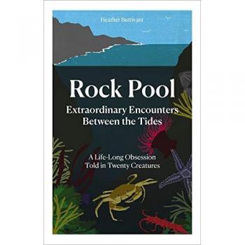Rock Pool: Extraordinary Encounters Between the Tides