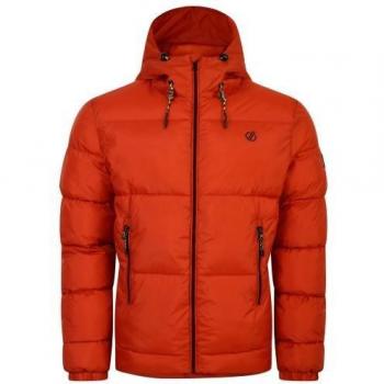 Dare 2B - Chaqueta Acolchada Endless IV para Hombre, chaqueta acolchada, diseño moderno, aislamiento térmico, resistente al agua, transpirable, ligera y cómoda