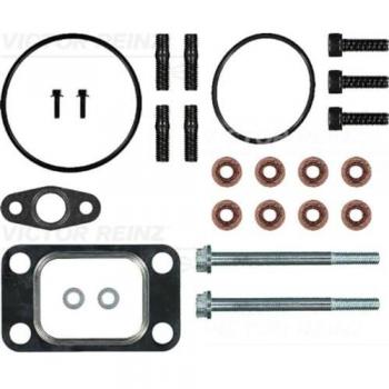 Juego de montaje turbocompresor REINZ 04-10201-01
