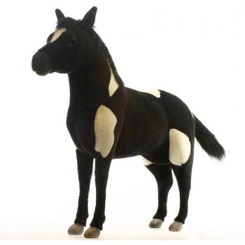 Shetland Pony Black White No.3669