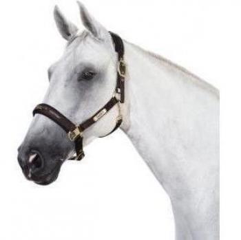 Eskadron - headcollar DOUBLE PIN - HERITAGE COLLECTION