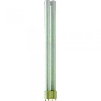 Philips 70670640 Lámpara, 24W, Linear, 2G11, B, 82g