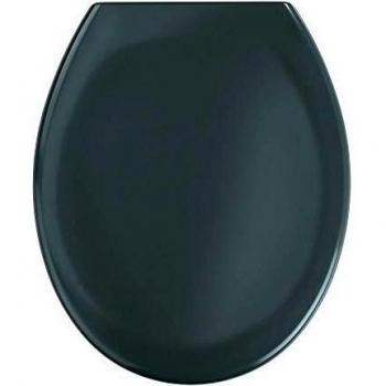 WENKO Tapa de WC Ottana gris - antibacteriano, dispositivo automático de descenso, sujeción higiénica de acero inox Fix-Clip, Duroplast, 37.5 x 44.5 cm, Gris oscuro