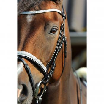 Horka Brida Jamie, negro/plata, Pony