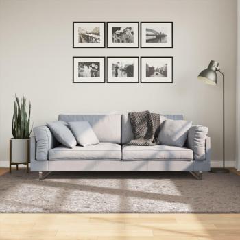 Alfombra larga Shaggy PAMPLONA moderna Beige 160x230 cm