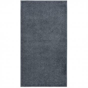 Alfombra de pelo corto antracita 80x150 cm