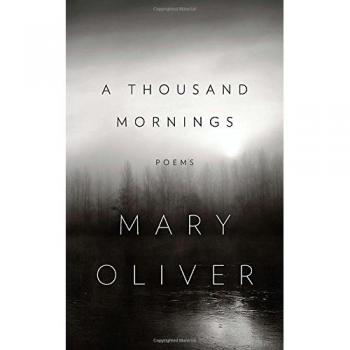 A Thousand Mornings