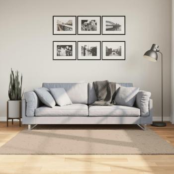 Alfombra de pelo corto suave lavable HUARTE 160x160 cm Color Antracita, Beige, Crema - Alfombra de Piso para Sala de Estar Dormitorio Habitación Salón