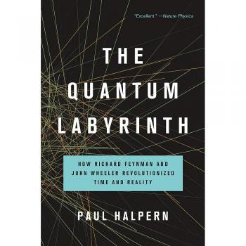 Quantum Labyrinth: The Revolutionary Insights of Feynman and Wheeler on Time and Reality