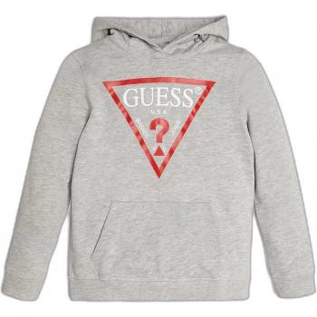 Guess Kids Triangle Logo Hoodie Sweatshirt