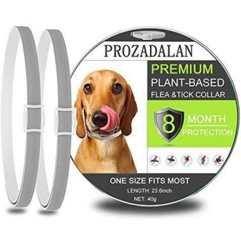 PROZADALAN Collar Antiparasitario para Perros, Impermeable, Diseño Impermeable y 8 Meses, Eficaz, Natural para Pequeños Animales Domésticos de Tamaño Mediano