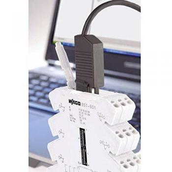 Wago Cable de conexión JUMPFLEX 750-923 - Cable de servicio USB, Jumpflex/WAGO-I/O, 2,5 m, USB A 2.0, con conectores macho en ambos extremos, color negro