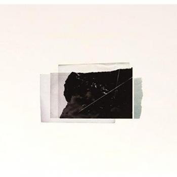 Vinyl Collection of Essays in Idleness