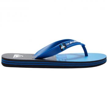 Quiksilver - Chanclas para Niño Azules - Molokai Panel 36 Azul