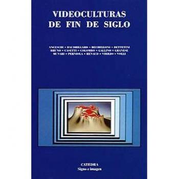 Videoculturas de fin de siglo