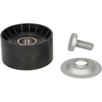 Polea tensora/guía correa trapezoidal y poli V DAYCO APV1111