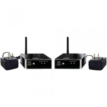 BIC America 4-Channel Wireless Audio Transmitter/Receiver Kit for Subwoofers and Powered Speakers