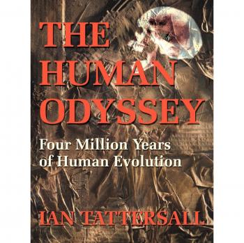 The Human Odyssey: A Comprehensive Guide to Four Million Years of Human Evolution (Paperback)