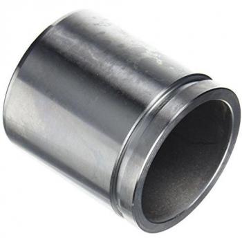Pistón de pinza de freno AUTOFREN SEINSA D025634