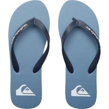 Chanclas de hombre Molokai Core Quiksilver