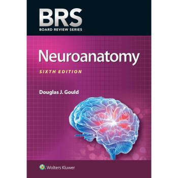 BRS Neuroanatomy