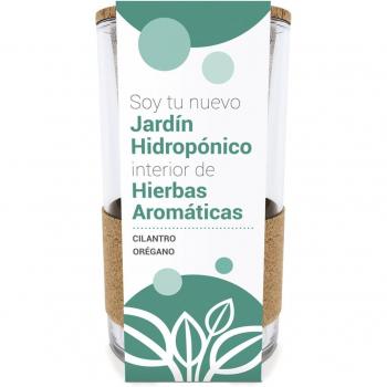 Cultivo hidropónico cilantro - orégano