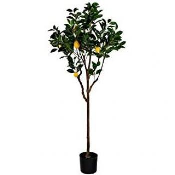 Árbol artificial de limonero verde con hojas de poliéster pp - Decoración para el hogar de DKD Home
