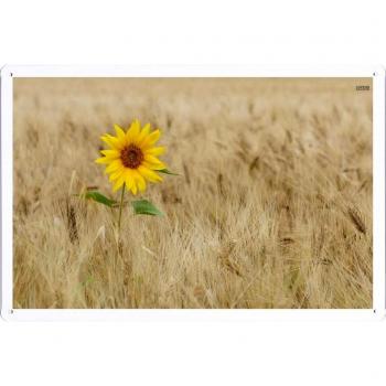 Metal cartel Cartel de chapa Hojalata sesión Flower Tin Sign Sunflower 35460 Retro Vintage Pared Decoración by hamgaacaan
