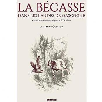 La Becasse Dans Les Landes De Gascogne. Chasse Et Braconnage Depuis Le XIXe Siecle: Chasse et braconnage depuis le XIXe siècle