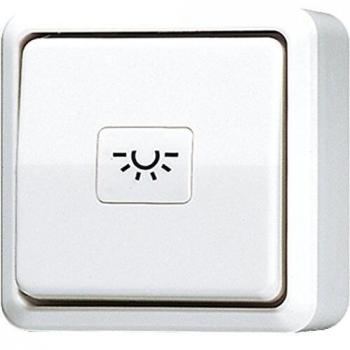 JUNG White Push Button Switch 1-Pole Momentary Contact (631AWW)